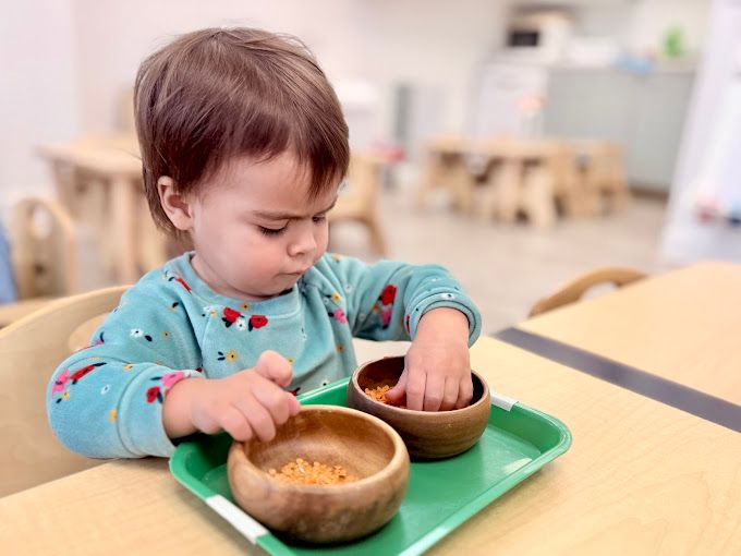Toddler program at Apple Montessori